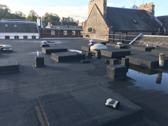 M&Co Kelso, Kelso, photo 8
